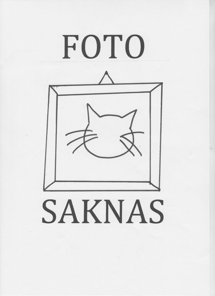 Katten Love